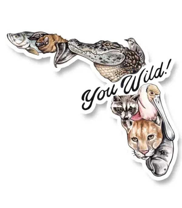 Florida You Wild Car Decal