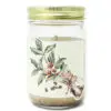 Coffee Signature Soy Candle