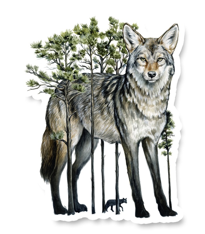Conservation Florida Coyote Sticker