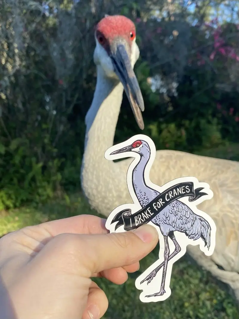 Sandhill Crane Magnet