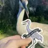 Sandhill Crane Magnet