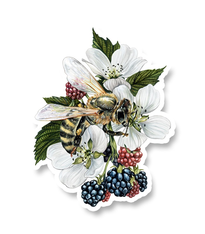 Conservation Florida Bee With Berries Sticker
