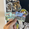 Wild & Free Sticker Set