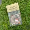 Florida Citrus Air Freshener