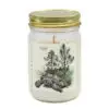 Gopher Tortoise Signature Soy Candle
