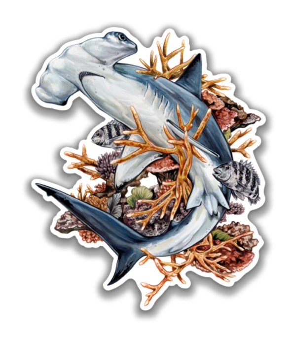 Conservation Florida Hammerhead Sticker
