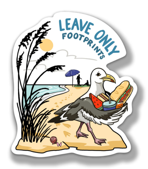 Leave Only Footprints Decal
