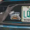 Tortoise Magnet