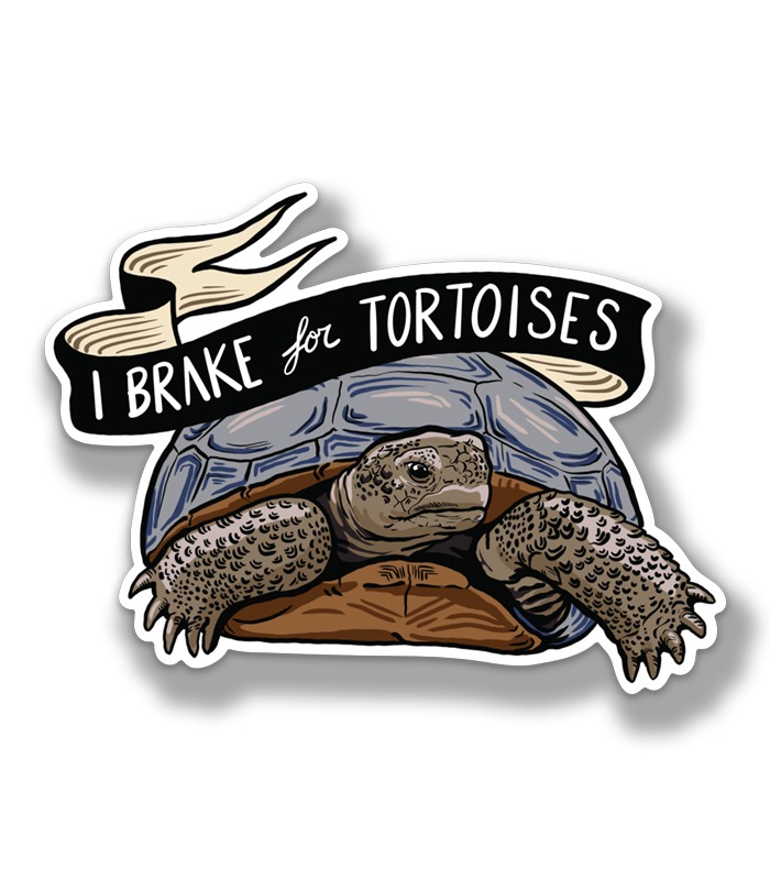 Tortoise Magnet by Freehand Goods, 5 Magnet