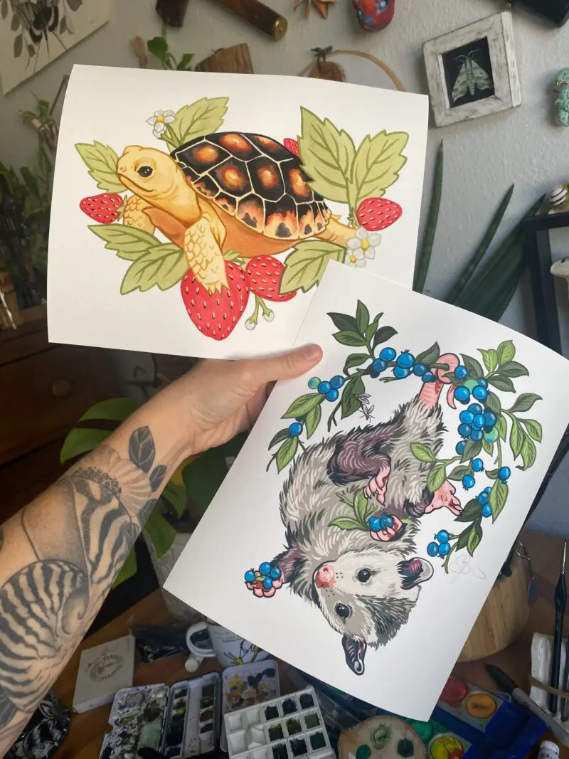 Baby Tortoise Baby Opossum Art Prints