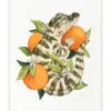 Sleeping Gator Art Print