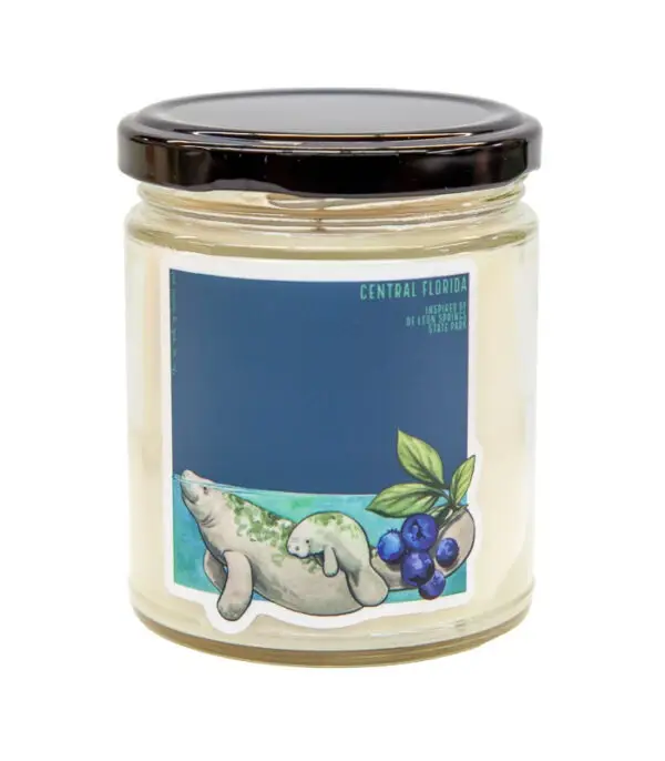 Central FL Soy Candle