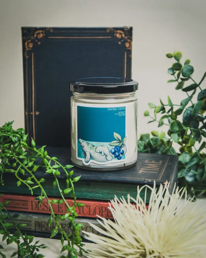 Central FL Soy Candle