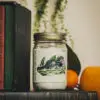Hatchling Gator Signature Soy Candle
