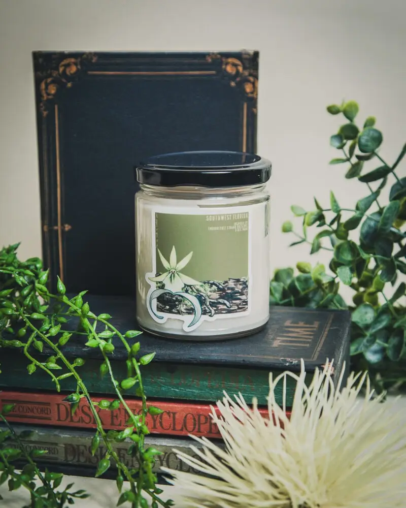 Southwest FL Soy Candle