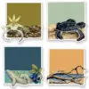 State Parks Sticker Pack