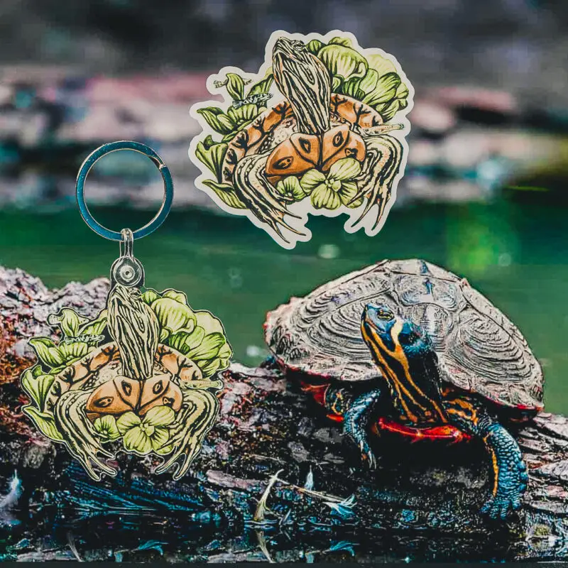 Yellow-Bellied Slider Acrylic Keychain