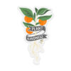 Plant Kindness Clear Sticker