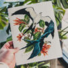 Swallow-Tailed Kites Art Print