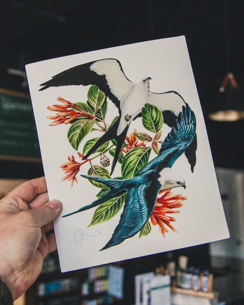 Swallow-Tailed Kites Art Print - Image 3
