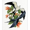 Swallow-Tailed Kites Art Print