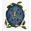 Banana Spider Art Print
