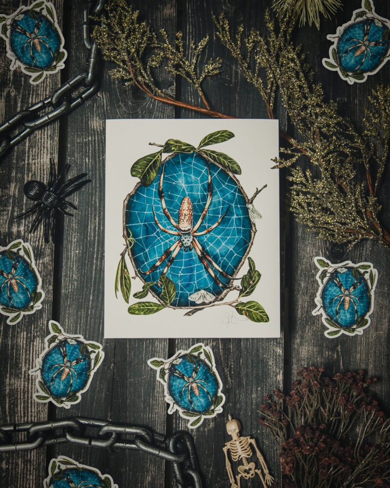 Banana Spider Art Print & Sticker