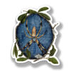 Banana Spider Sticker