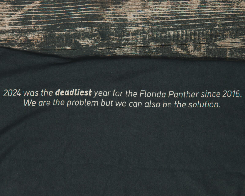 Florida Panthers Tee
