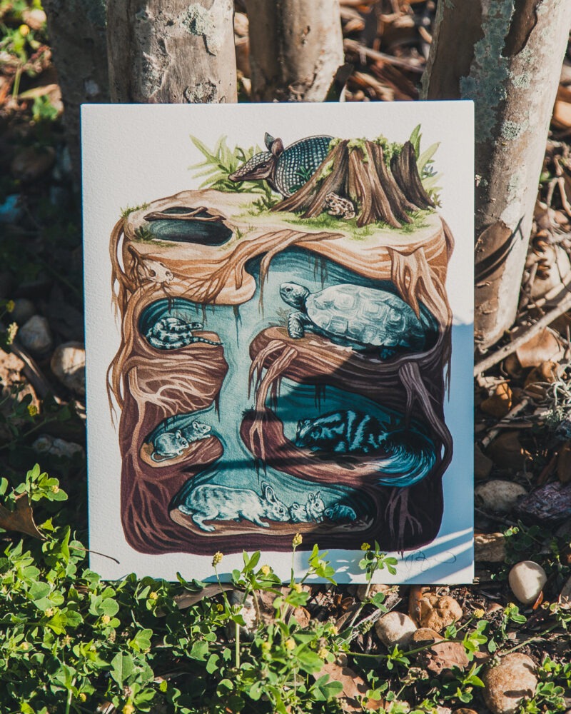 Keystone Burrow Art Print