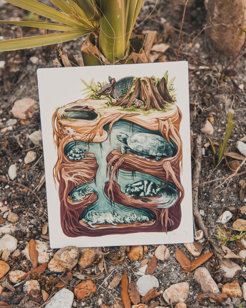 Keystone Burrow Art Print