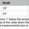 FL Things Youth Button Up Size Chart