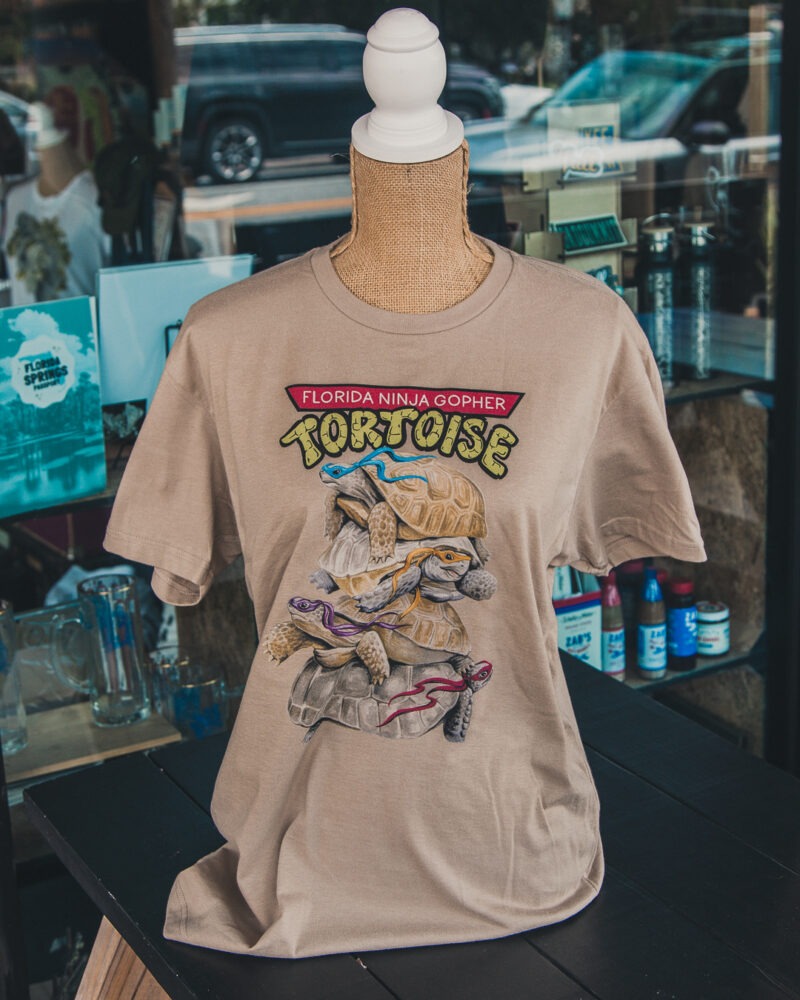 Ninja Tortoise Adult Tee