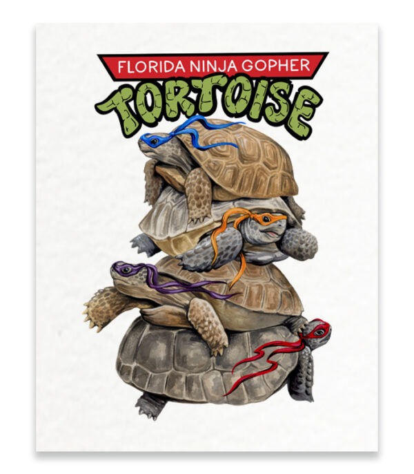 Ninja Tortoise Art Print