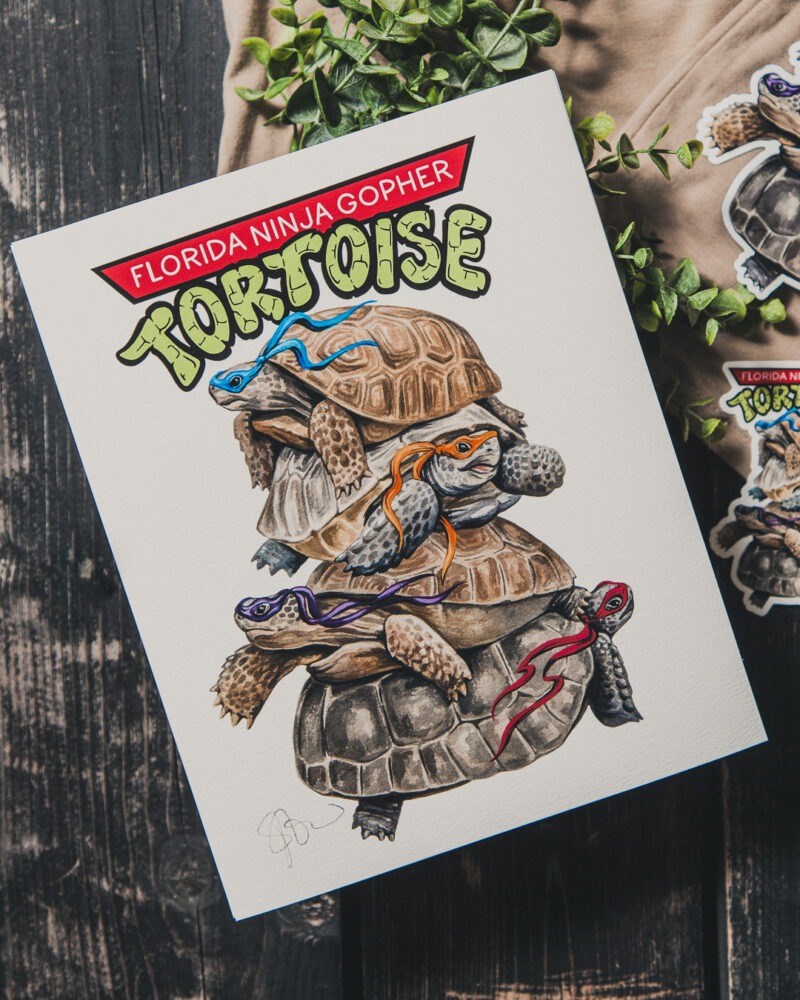 Ninja Tortoise Art Print