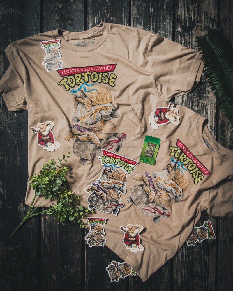 Ninja Tortoise Collection