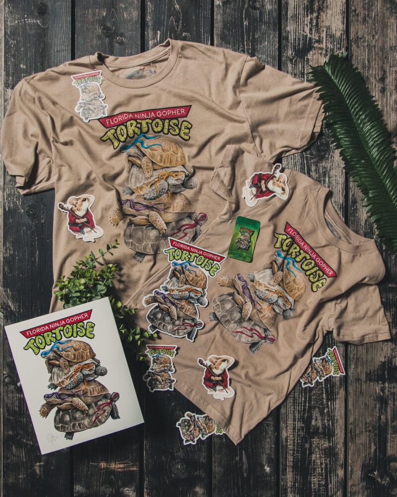 Ninja Tortoise Collection