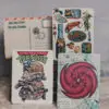 Florida Postcard Set