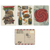 Florida Postcard Set