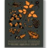 Poisonous Things Movie Poster