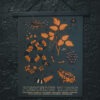 Poisonous Things Movie Poster