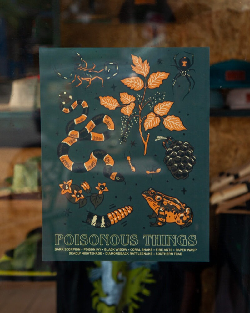 Poisonous Things Movie Poster