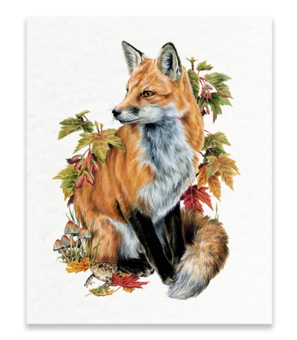 Red Fox Art Print