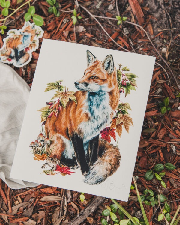 Red Fox Art Print