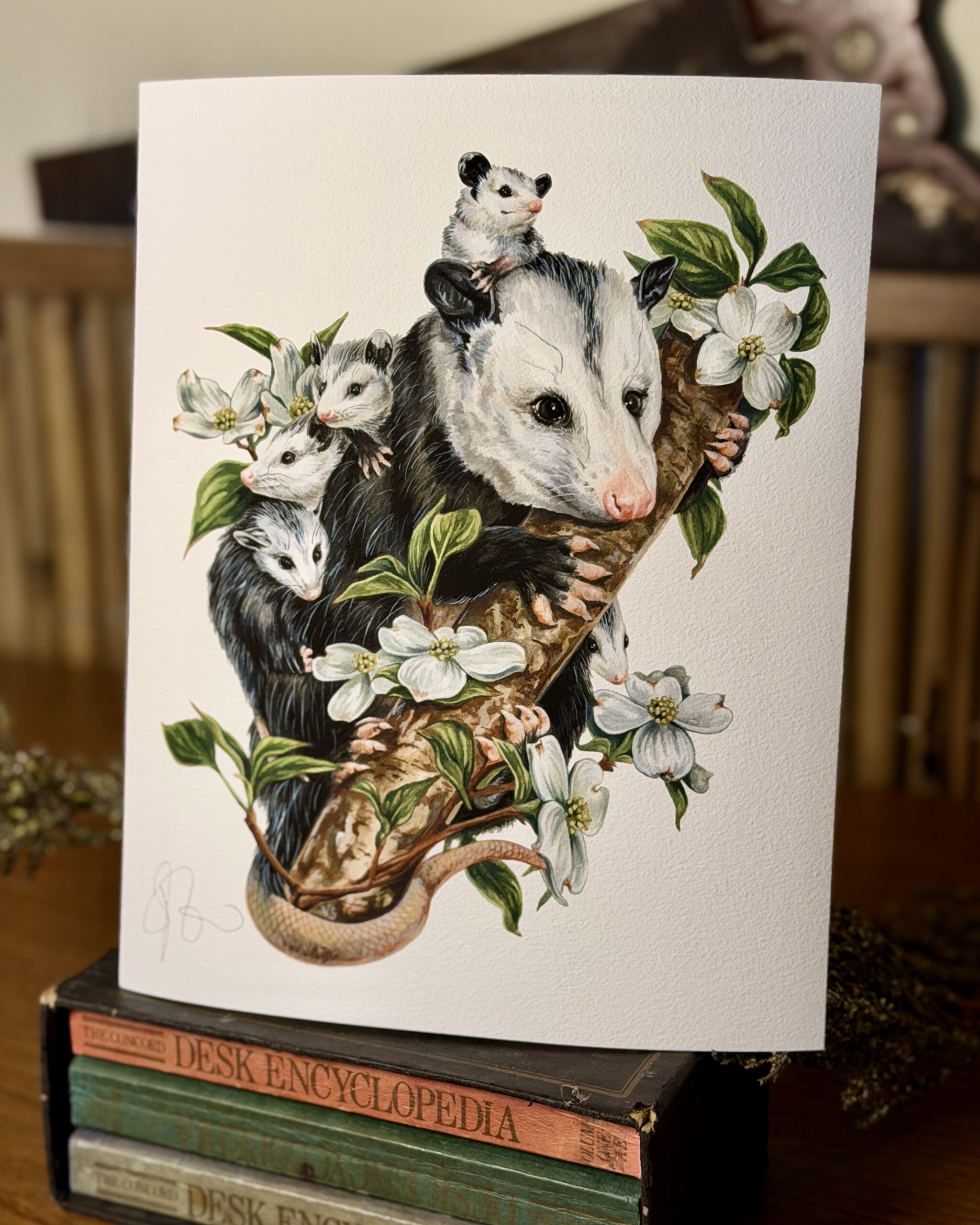Opossums in the Dogwood Art Print