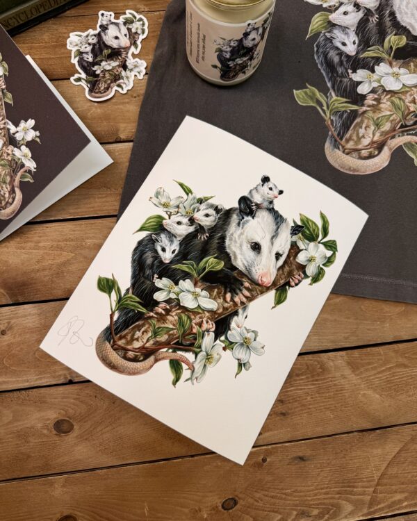 Opossums in the Dogwood Art Print