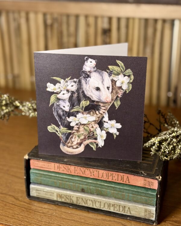 Opossums in the Dogwood Greeting Card