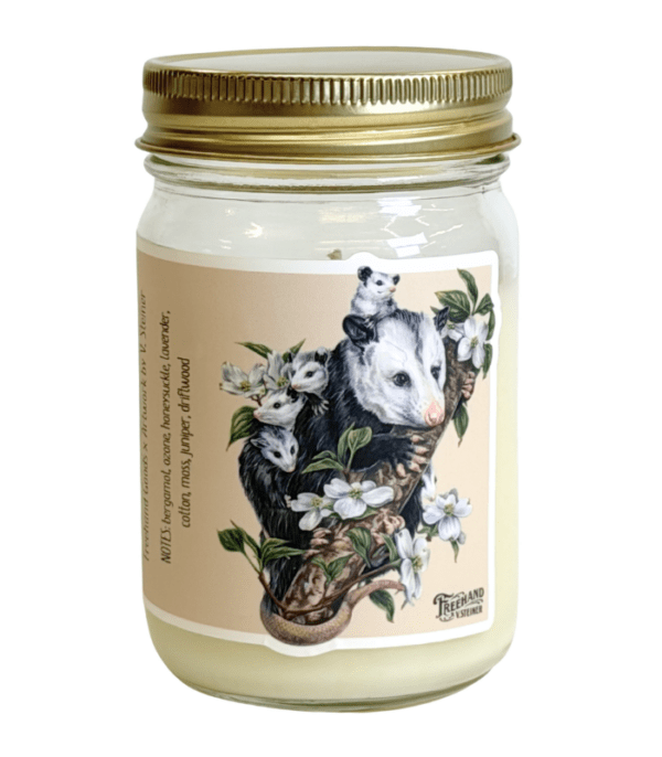 Opossums in the Dogwood Signature Soy Candle