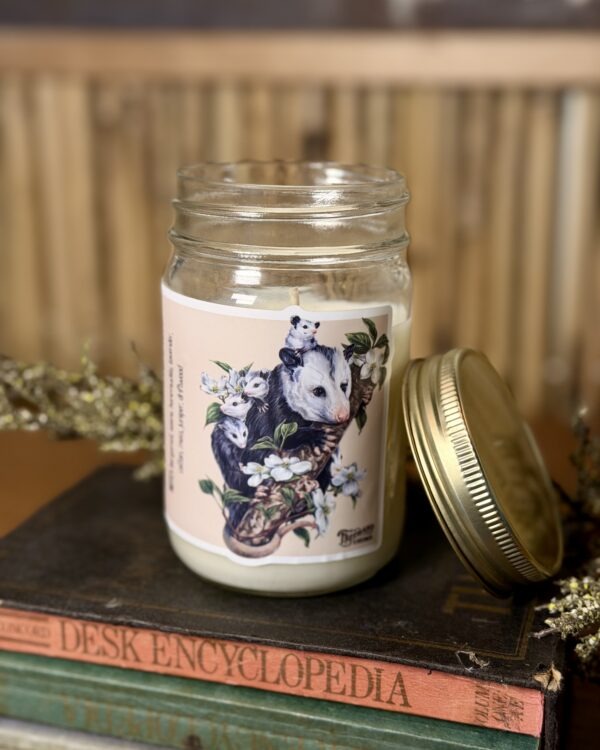 Opossums in the Dogwood Signature Soy Candle