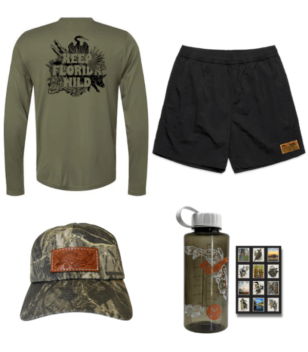 Summer Survival Kit